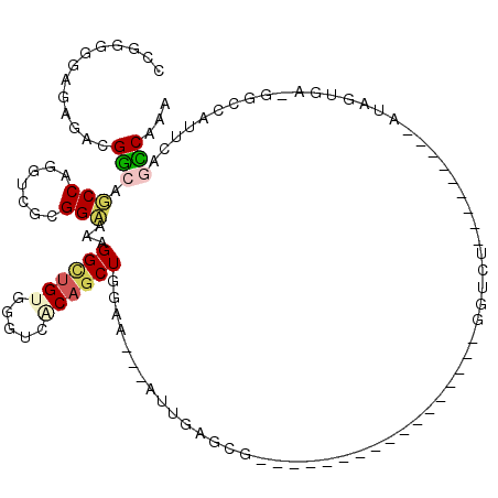 secondary structure
