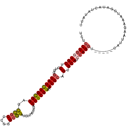 secondary structure