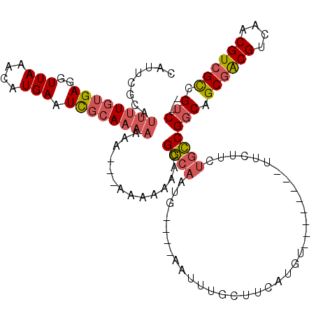 secondary structure