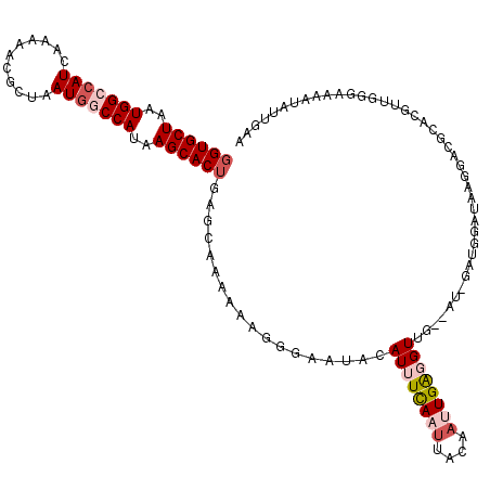 secondary structure