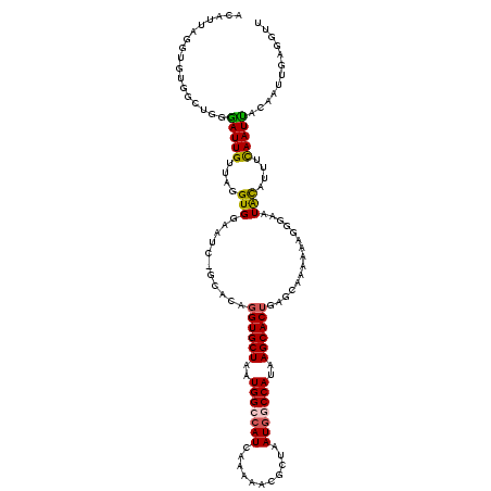 secondary structure