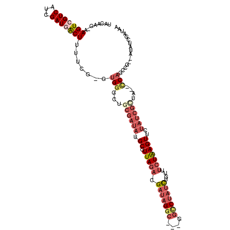secondary structure