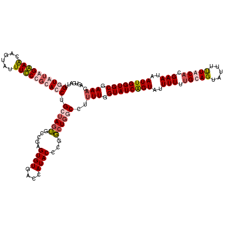 secondary structure