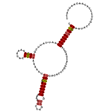 secondary structure