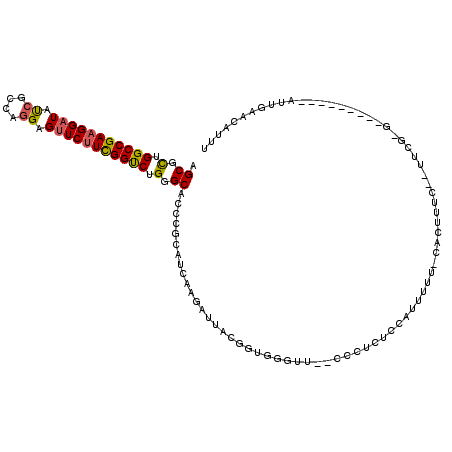 secondary structure
