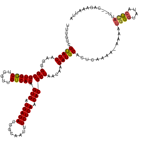 secondary structure