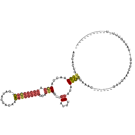 secondary structure