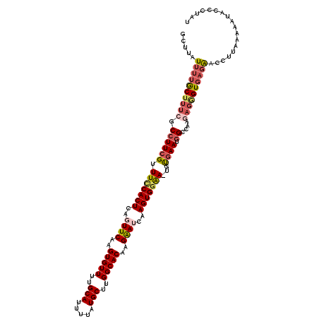secondary structure