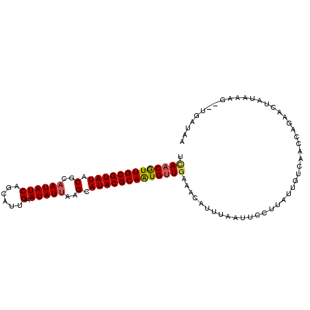 secondary structure