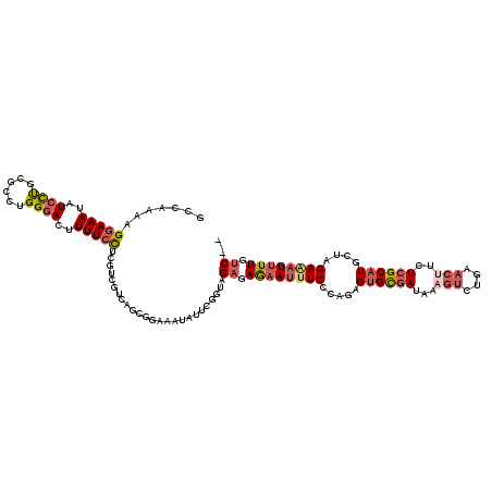 secondary structure