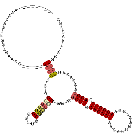 secondary structure