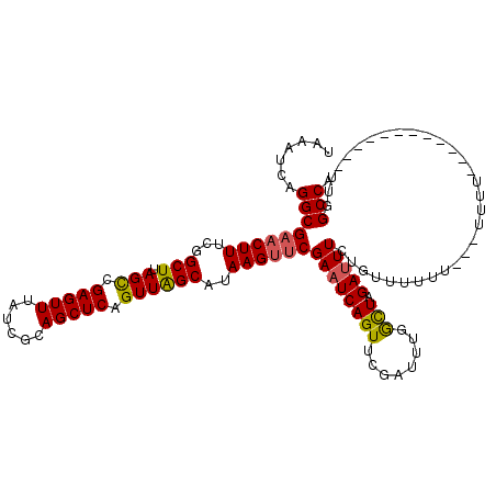 secondary structure