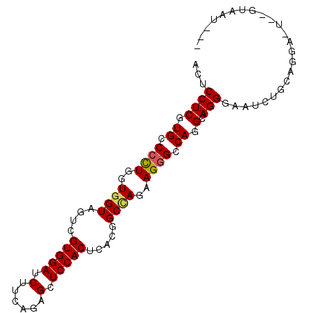 secondary structure