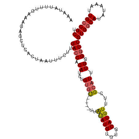 secondary structure