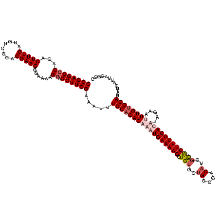 secondary structure