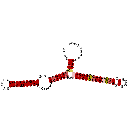 secondary structure