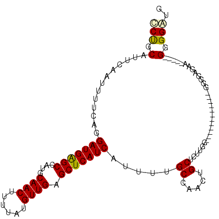 secondary structure