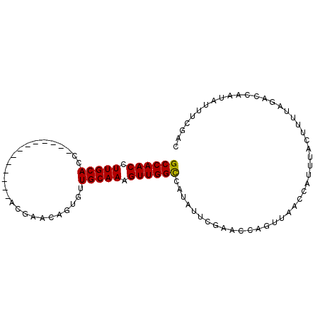 secondary structure