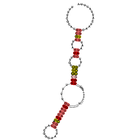 secondary structure