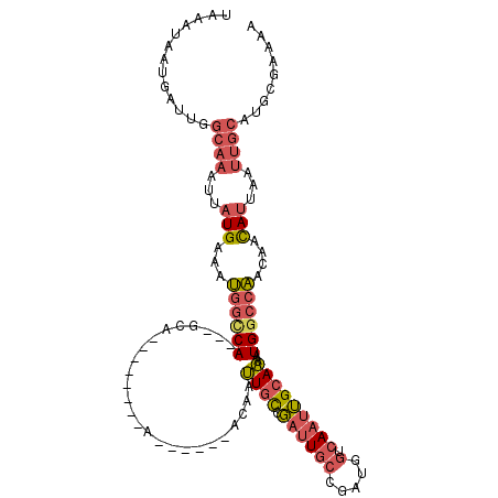 secondary structure