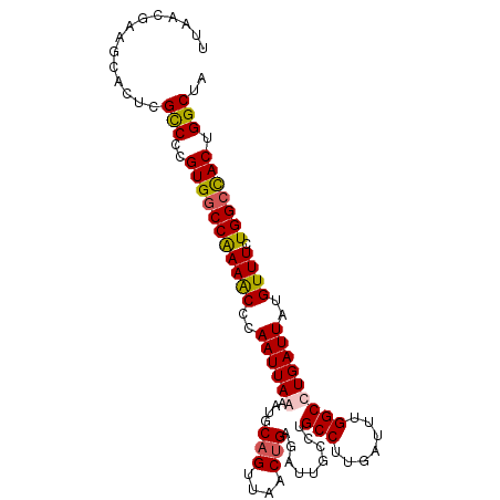 secondary structure