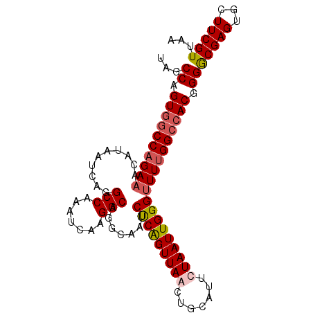secondary structure