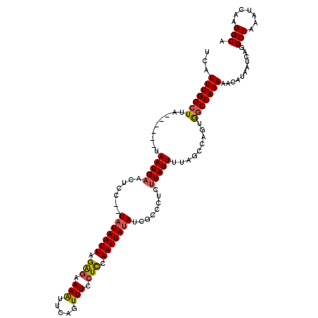 secondary structure