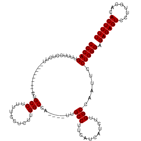 secondary structure