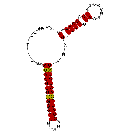 secondary structure