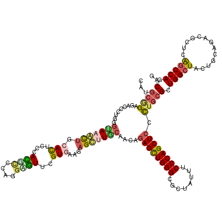 secondary structure