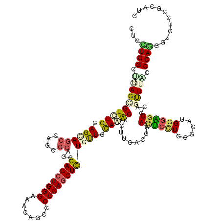 secondary structure