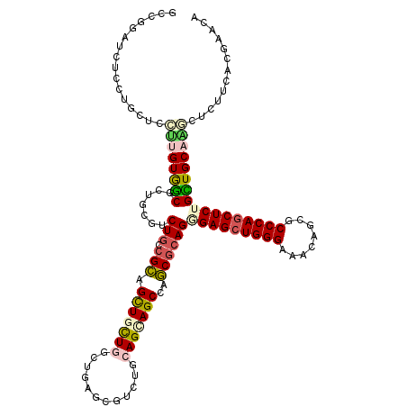 secondary structure