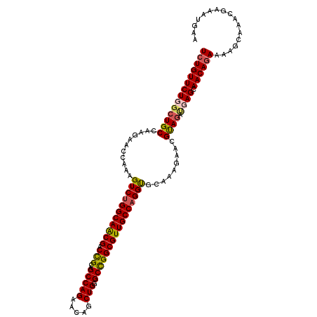 secondary structure