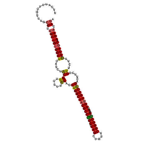 secondary structure