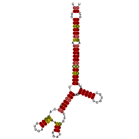 secondary structure
