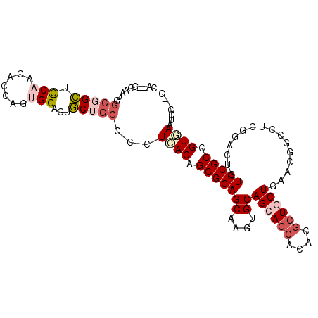 secondary structure