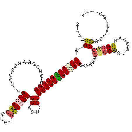secondary structure
