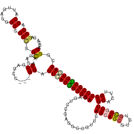 secondary structure