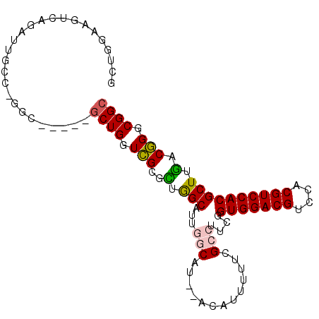 secondary structure