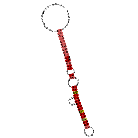 secondary structure