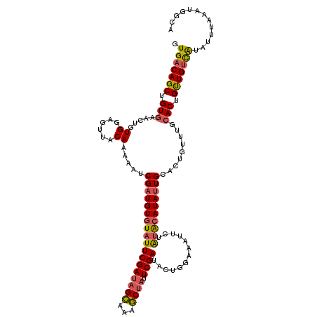 secondary structure