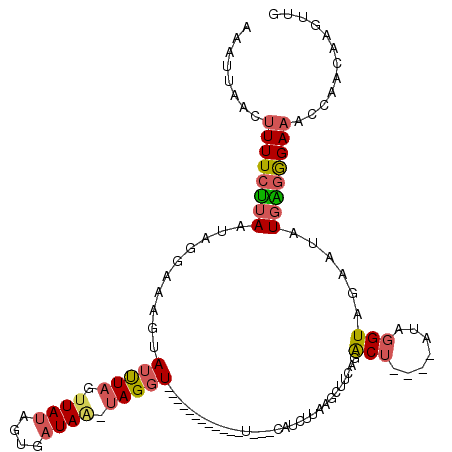 secondary structure