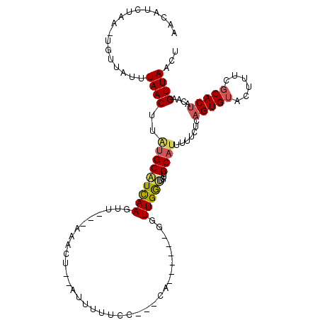 secondary structure