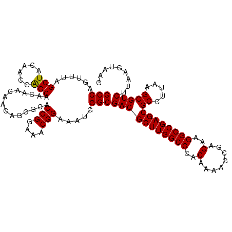 secondary structure