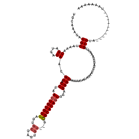 secondary structure