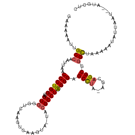 secondary structure