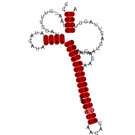 secondary structure