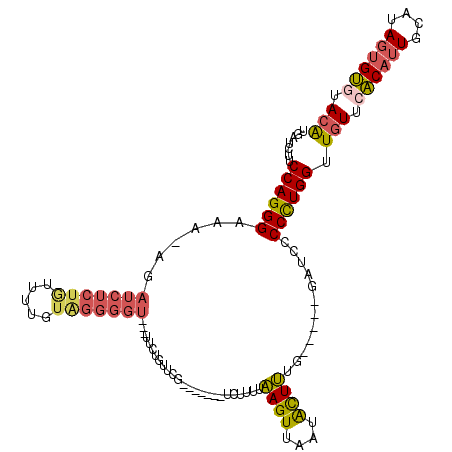 secondary structure