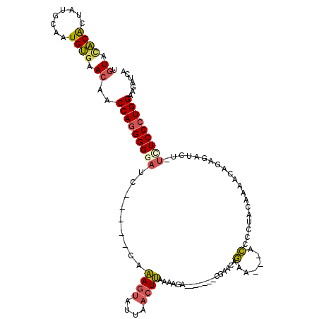 secondary structure