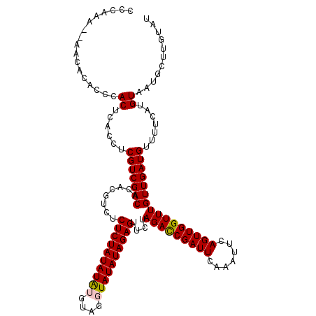 secondary structure